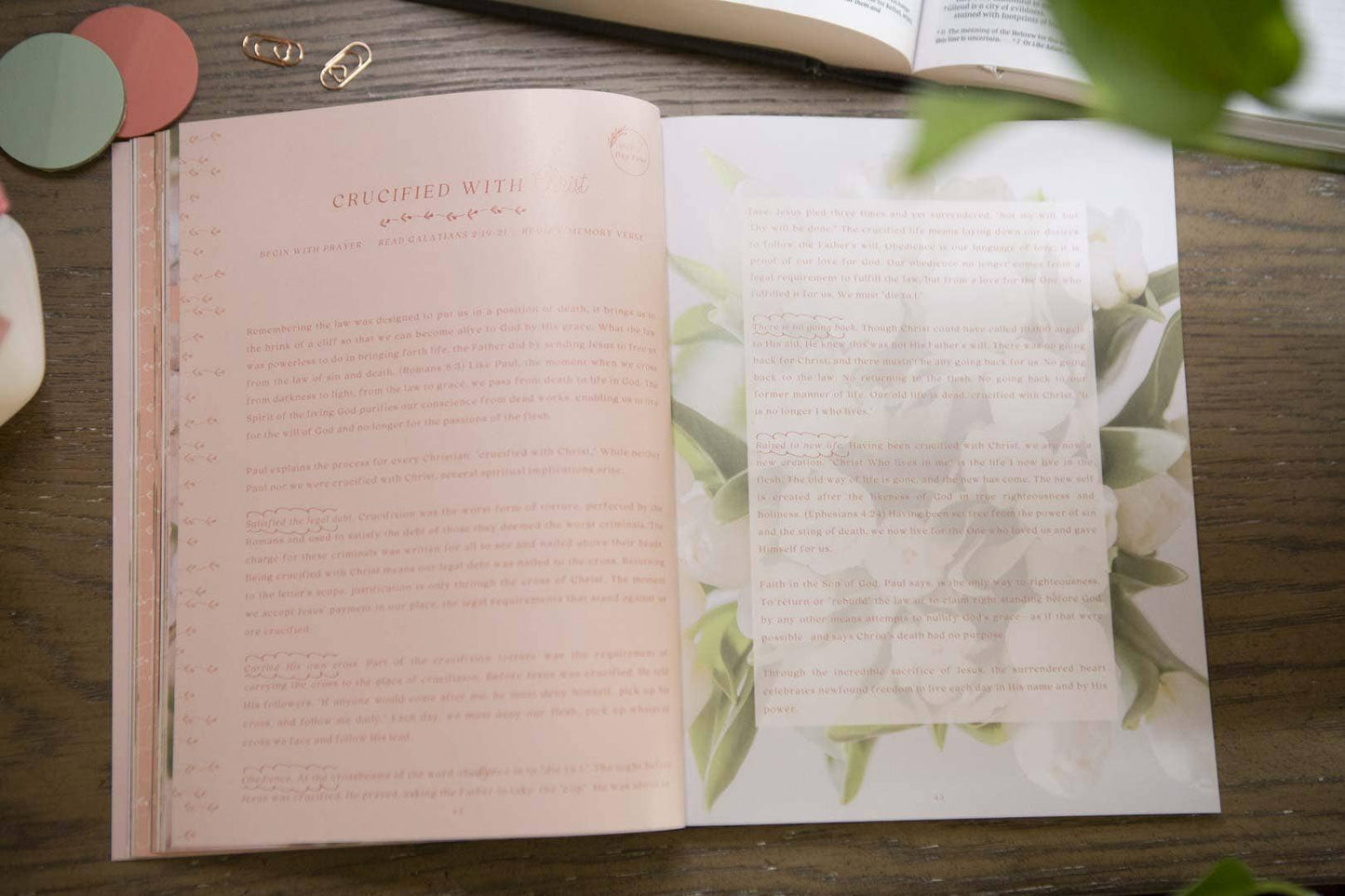 Galatians Extravagant Bible Study