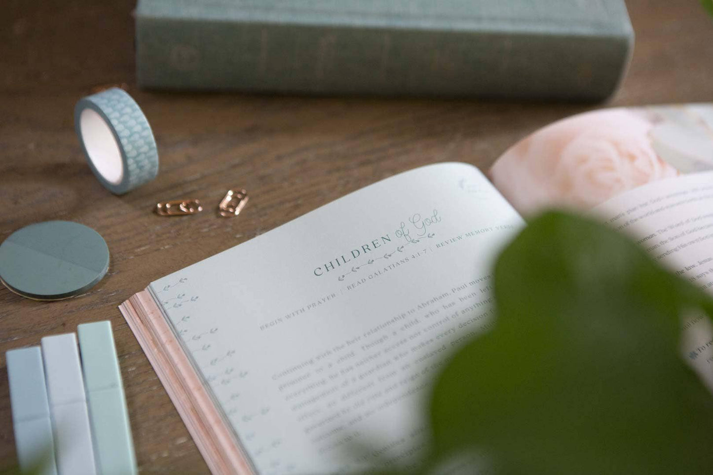 Galatians Extravagant Bible Study