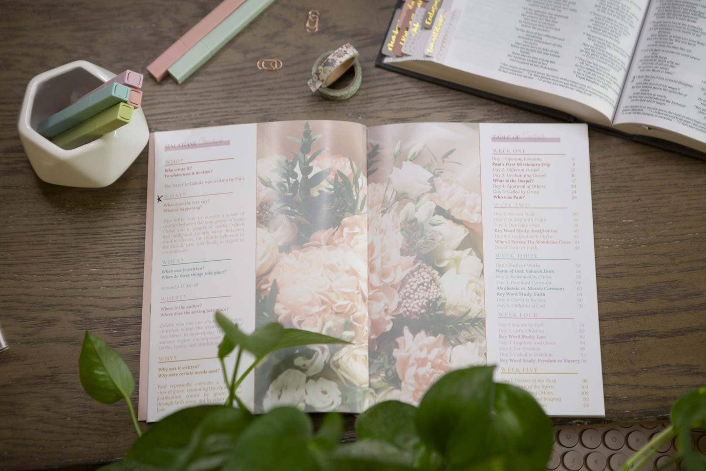 Galatians Extravagant Bible Study