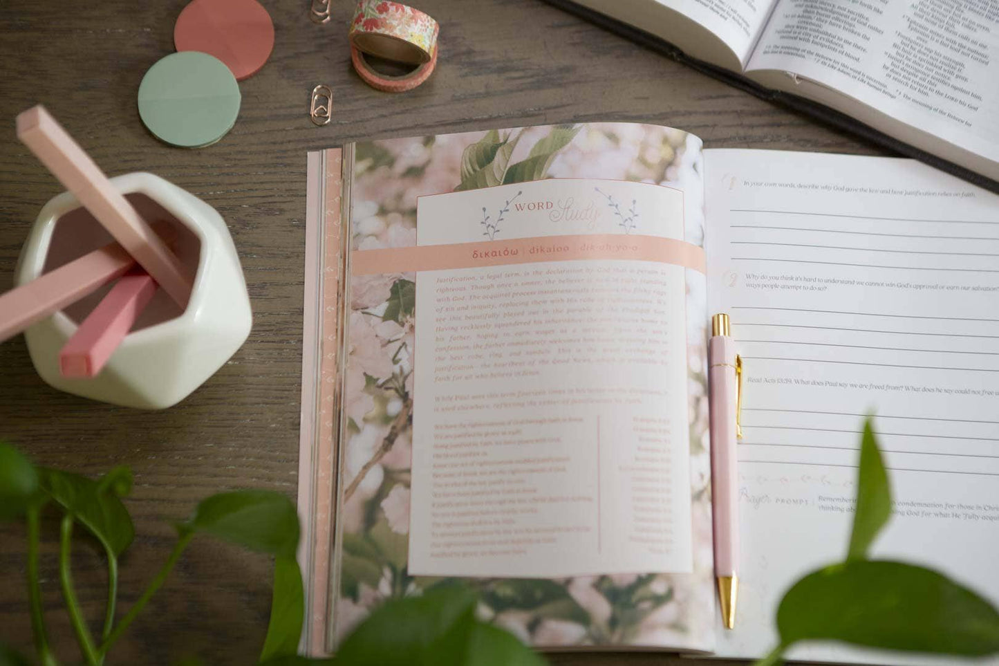 Galatians Extravagant Bible Study