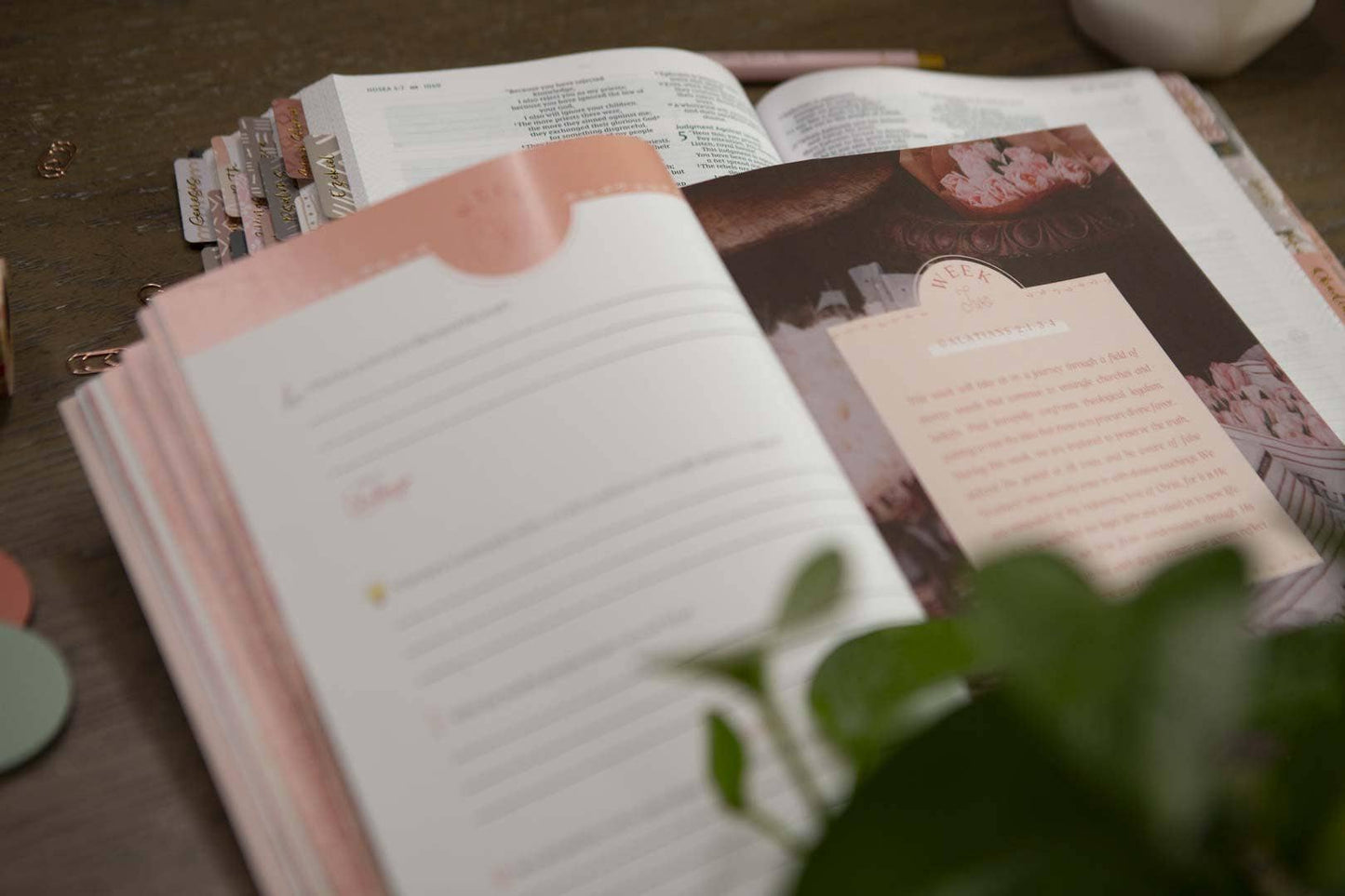 Galatians Extravagant Bible Study