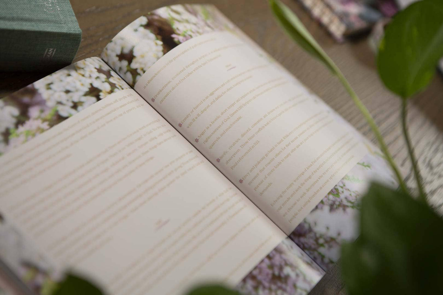 Galatians Extravagant Bible Study