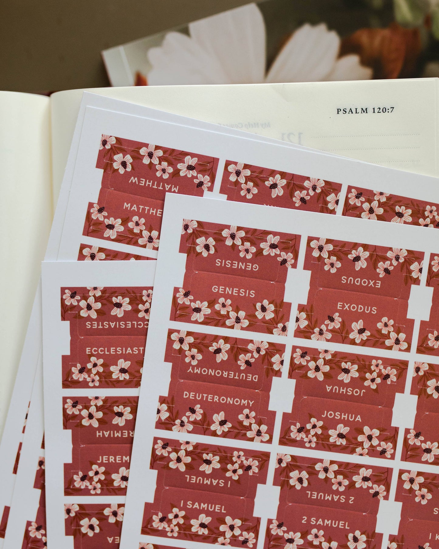 Berry Blooms Bible Tabs