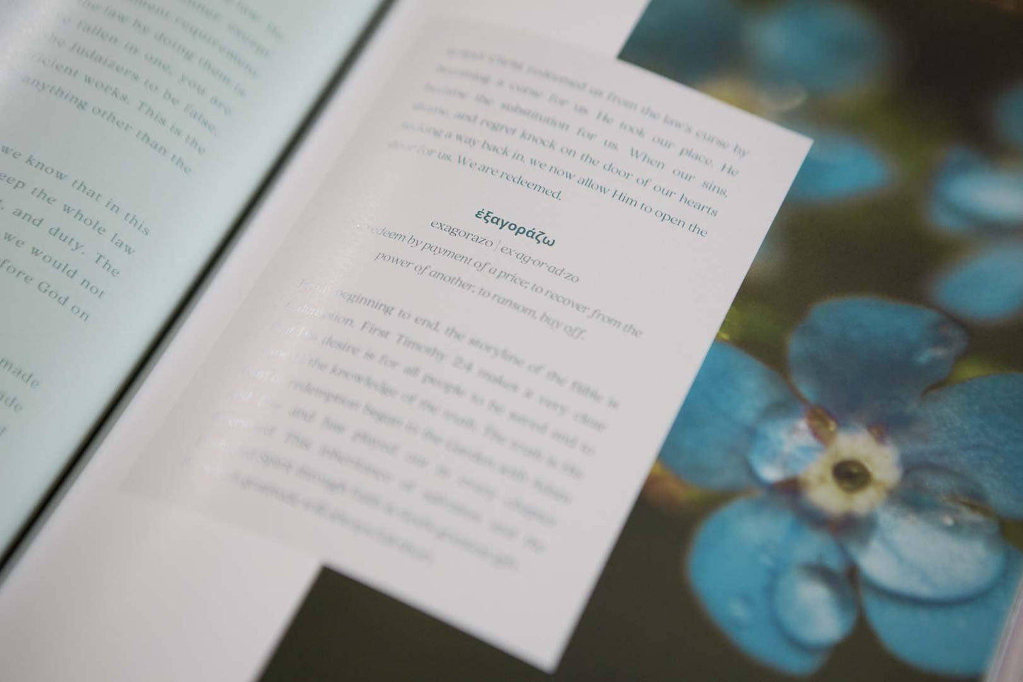 Galatians Extravagant Bible Study