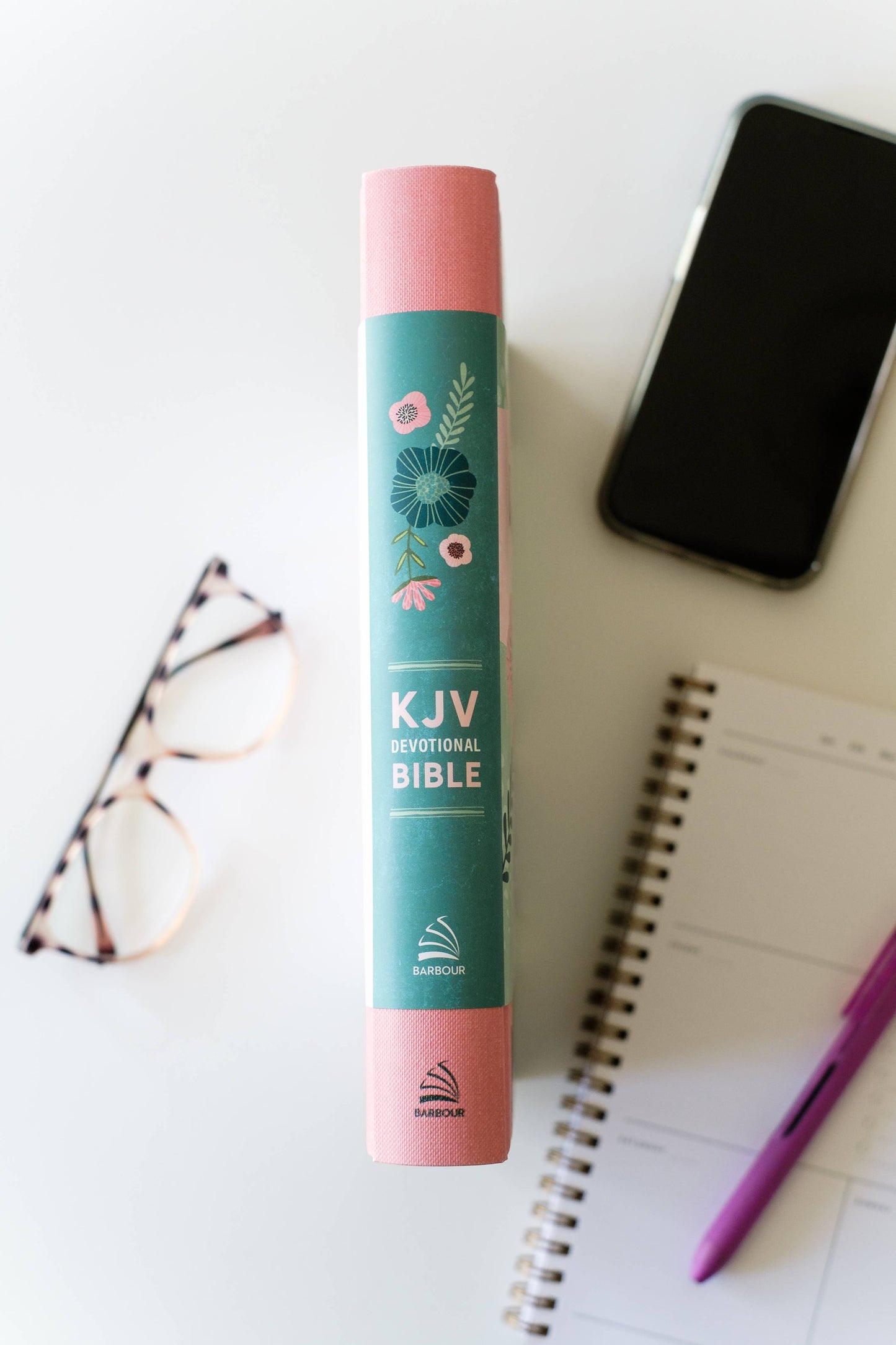 Daily Wisdom for Teen Girls KJV Devotional Bible