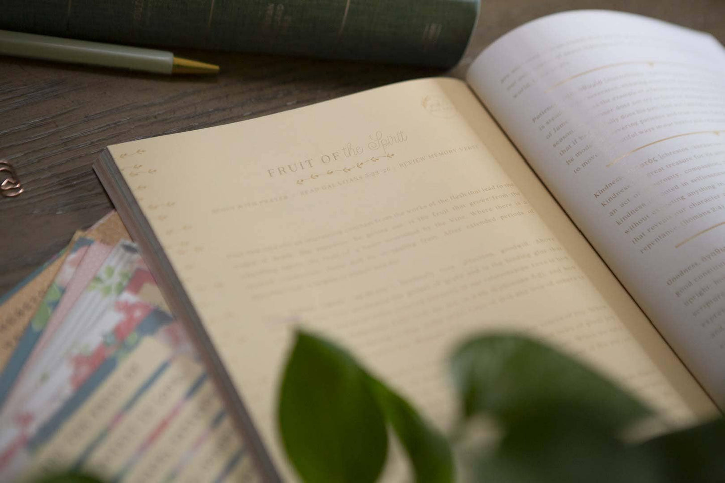 Galatians Extravagant Bible Study