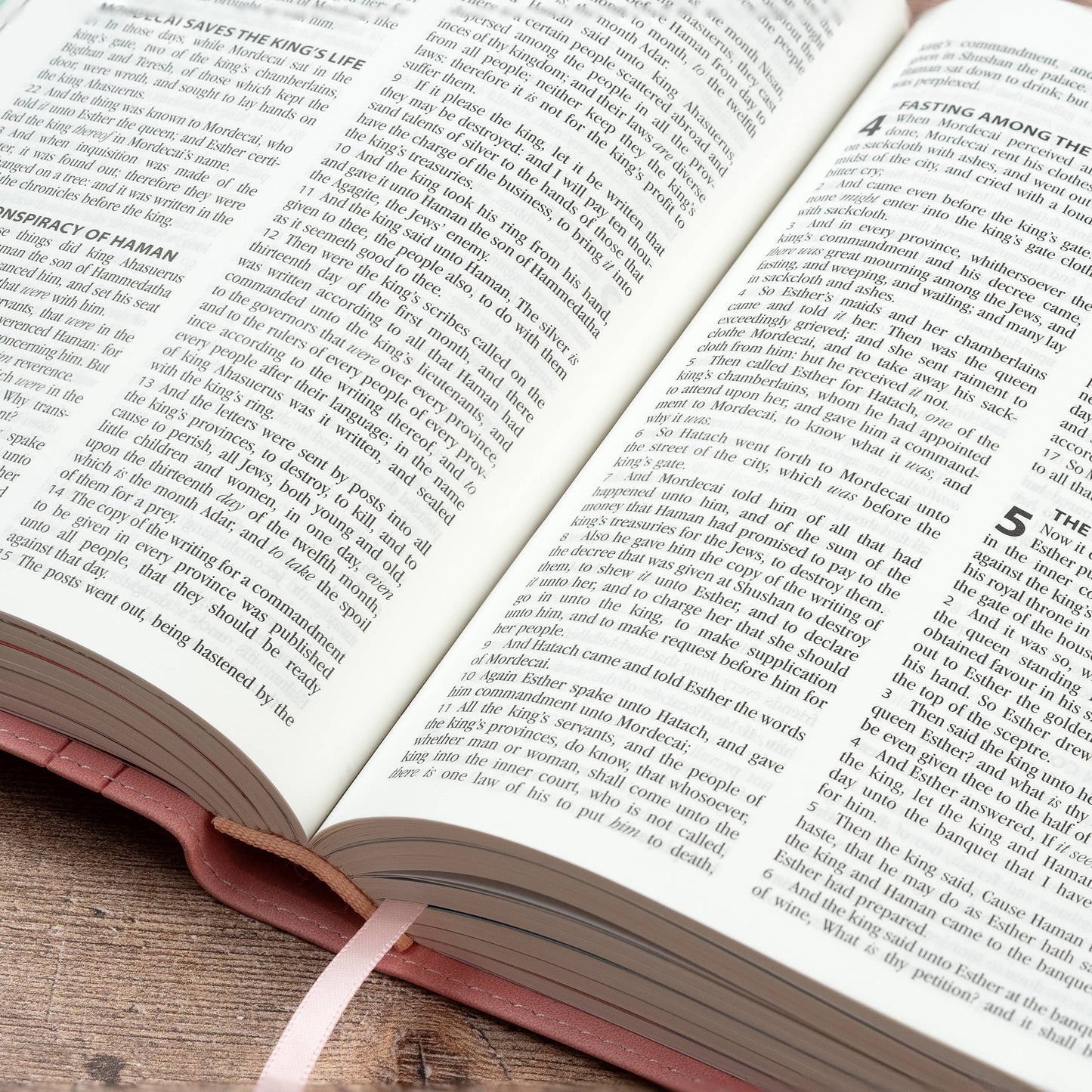 My First Real Bible | King James Version