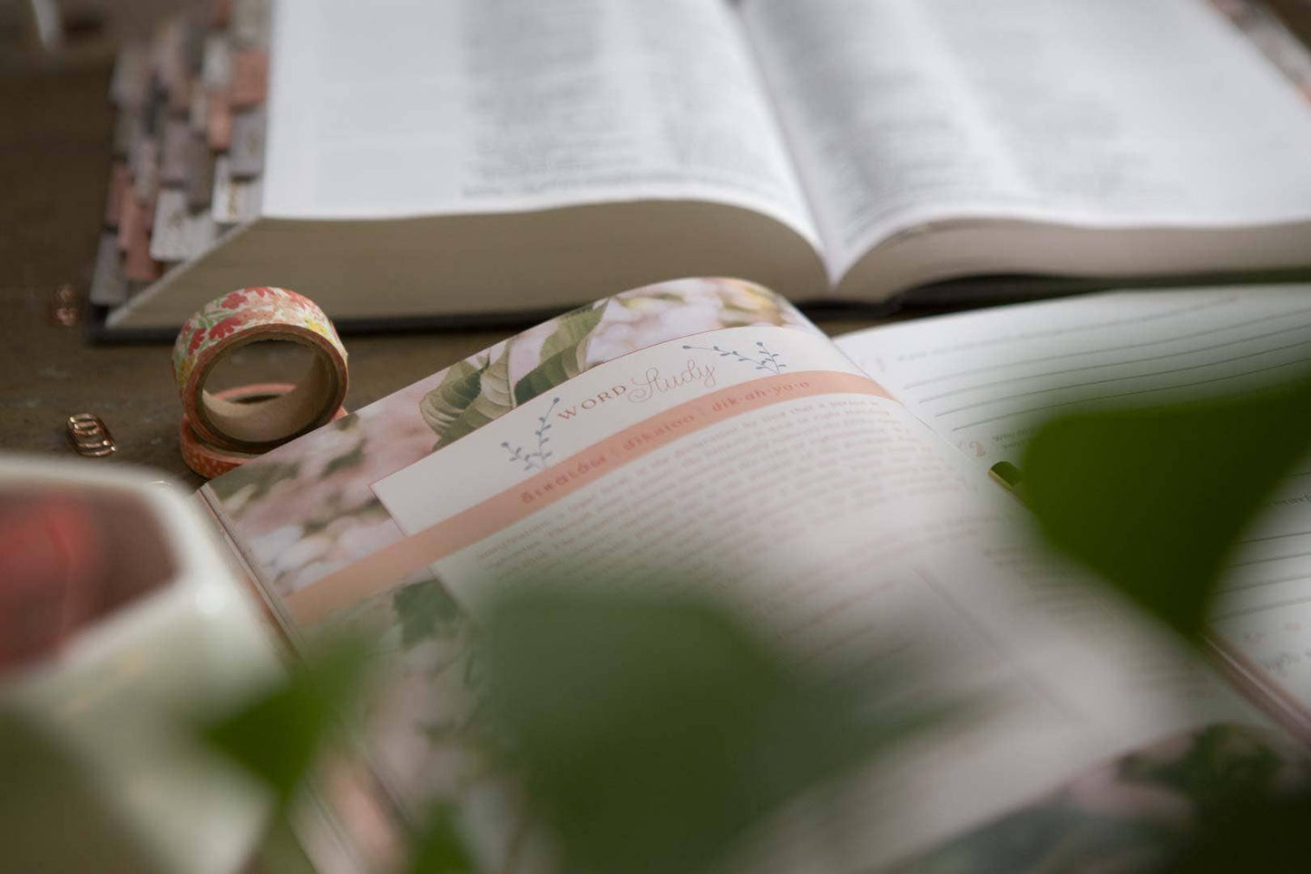 Galatians Extravagant Bible Study