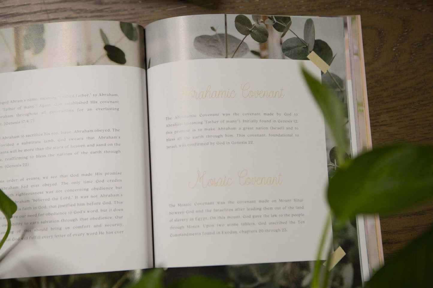 Galatians Extravagant Bible Study