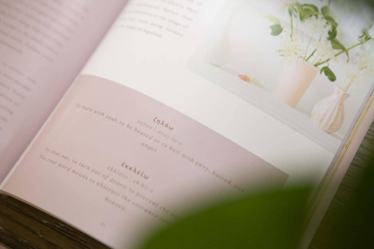 Galatians Extravagant Bible Study