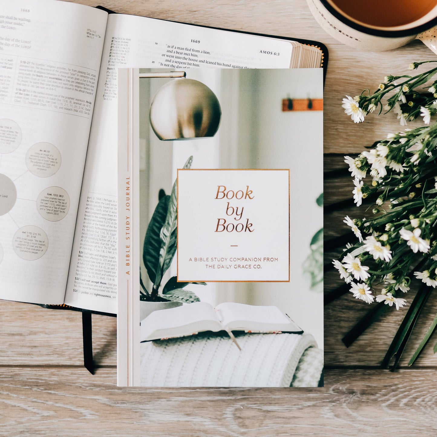 Book by Book Bible Study Companion