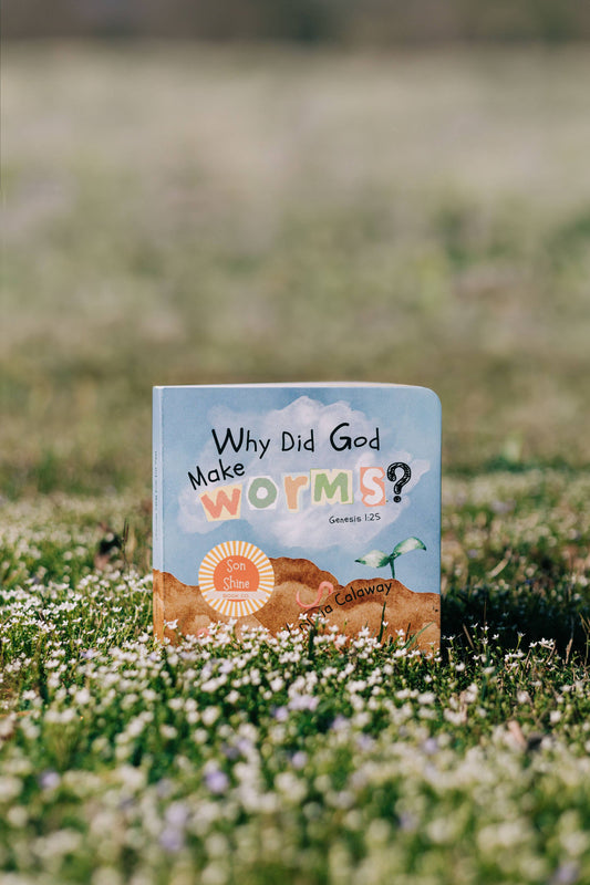 Why Did God Make Worms Board Book