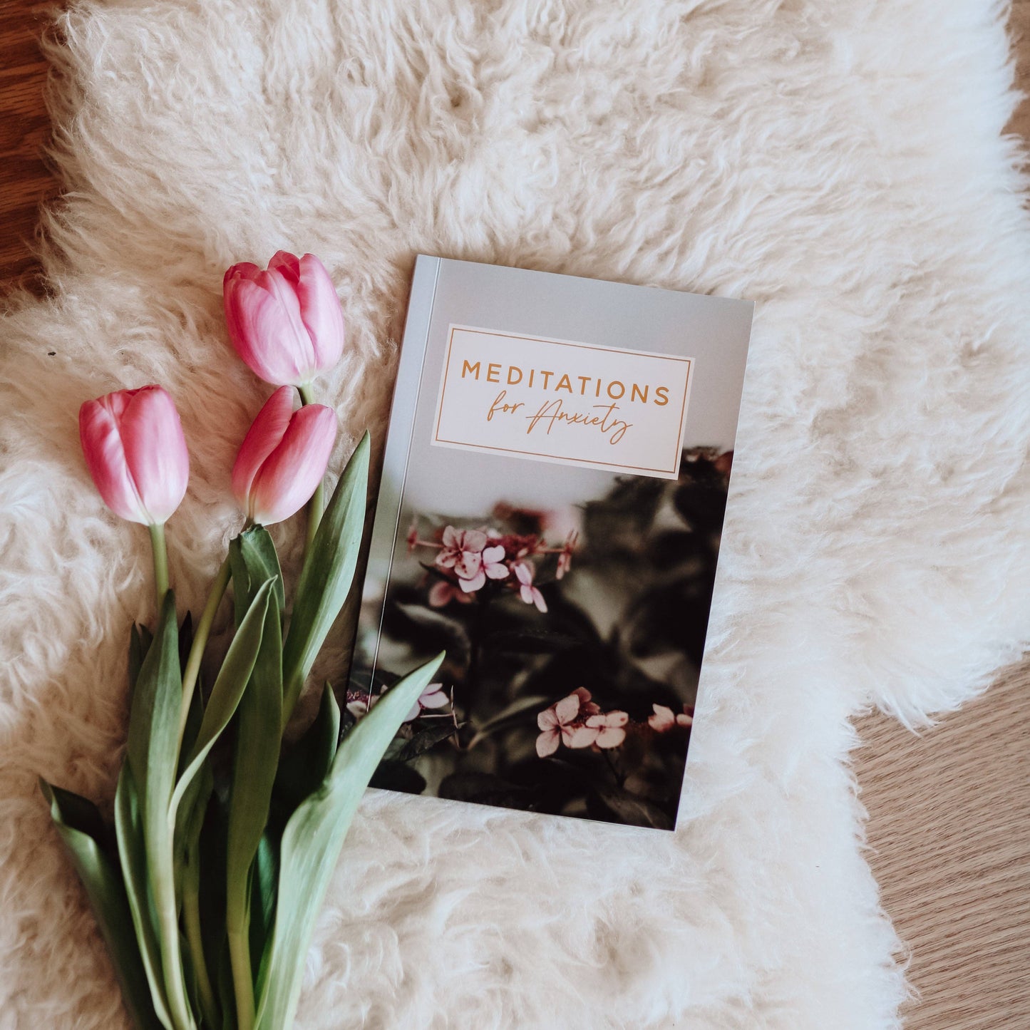 Meditations for Anxiety Booklet