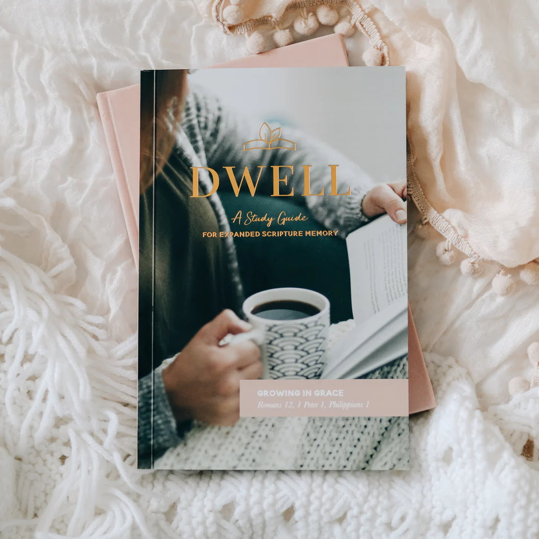 Dwell Scripture Memory Journal | Growing in Grace