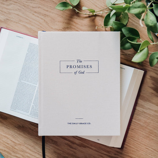 The Promises of God Book